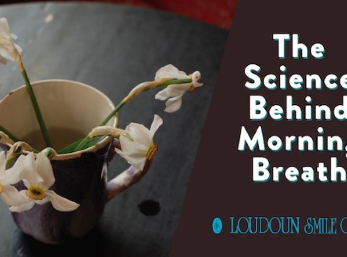 The Science Behind Morning Breath
